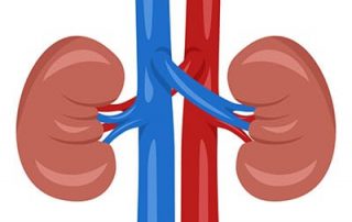 renal